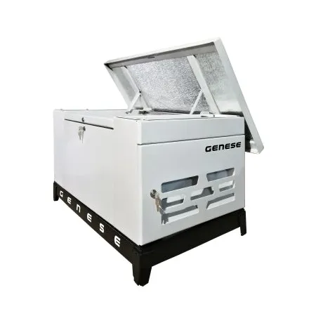 Газовый генератор GENESE STANDARD 5000 (в шумозащитном кожухе)